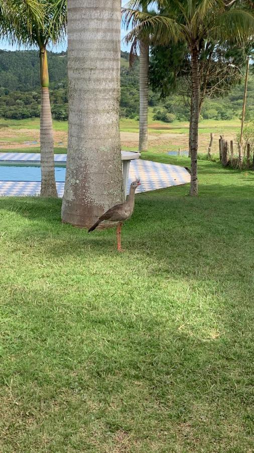 Sitio Frente A Barragem Villa Salesópolis Eksteriør bilde
